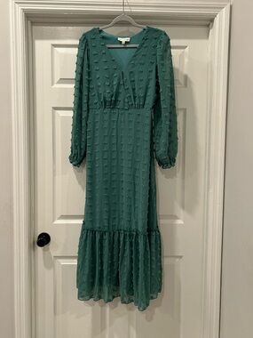 the Line of Style Green Swiss Dot Dress Size Medium
